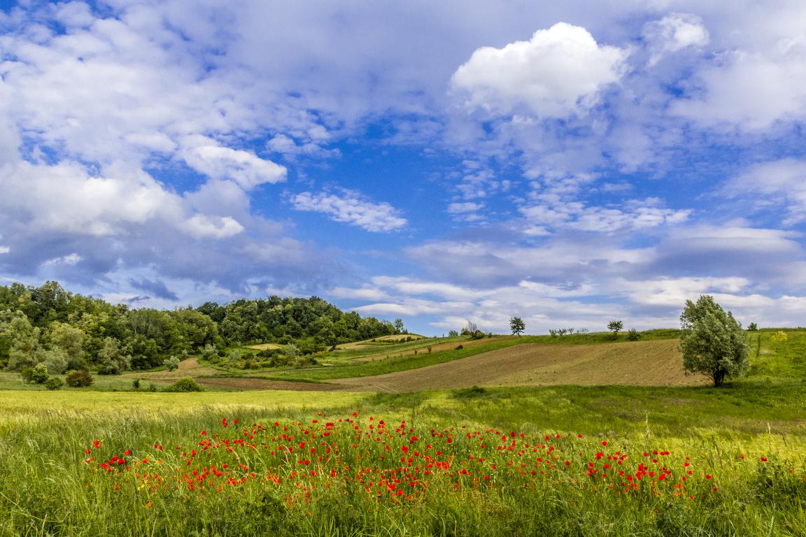 Zagorje