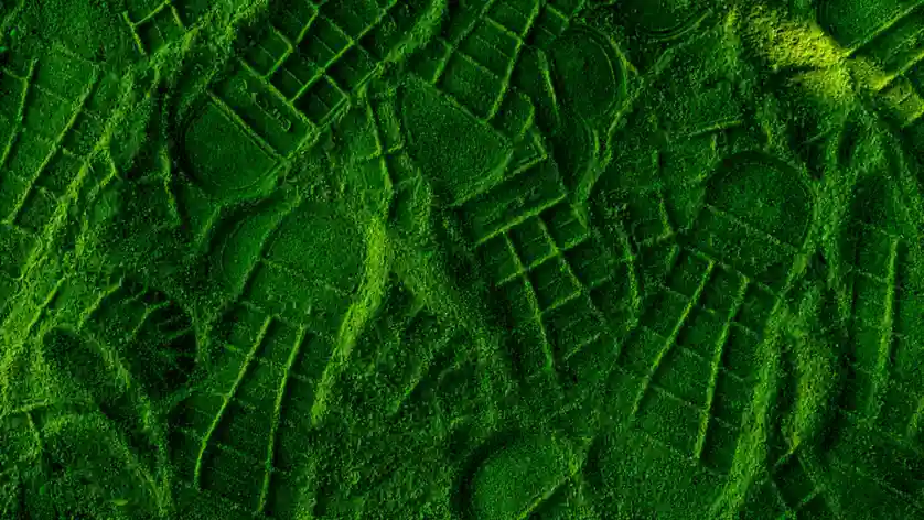 GreenSET