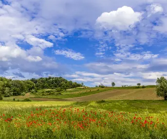 Zagorje